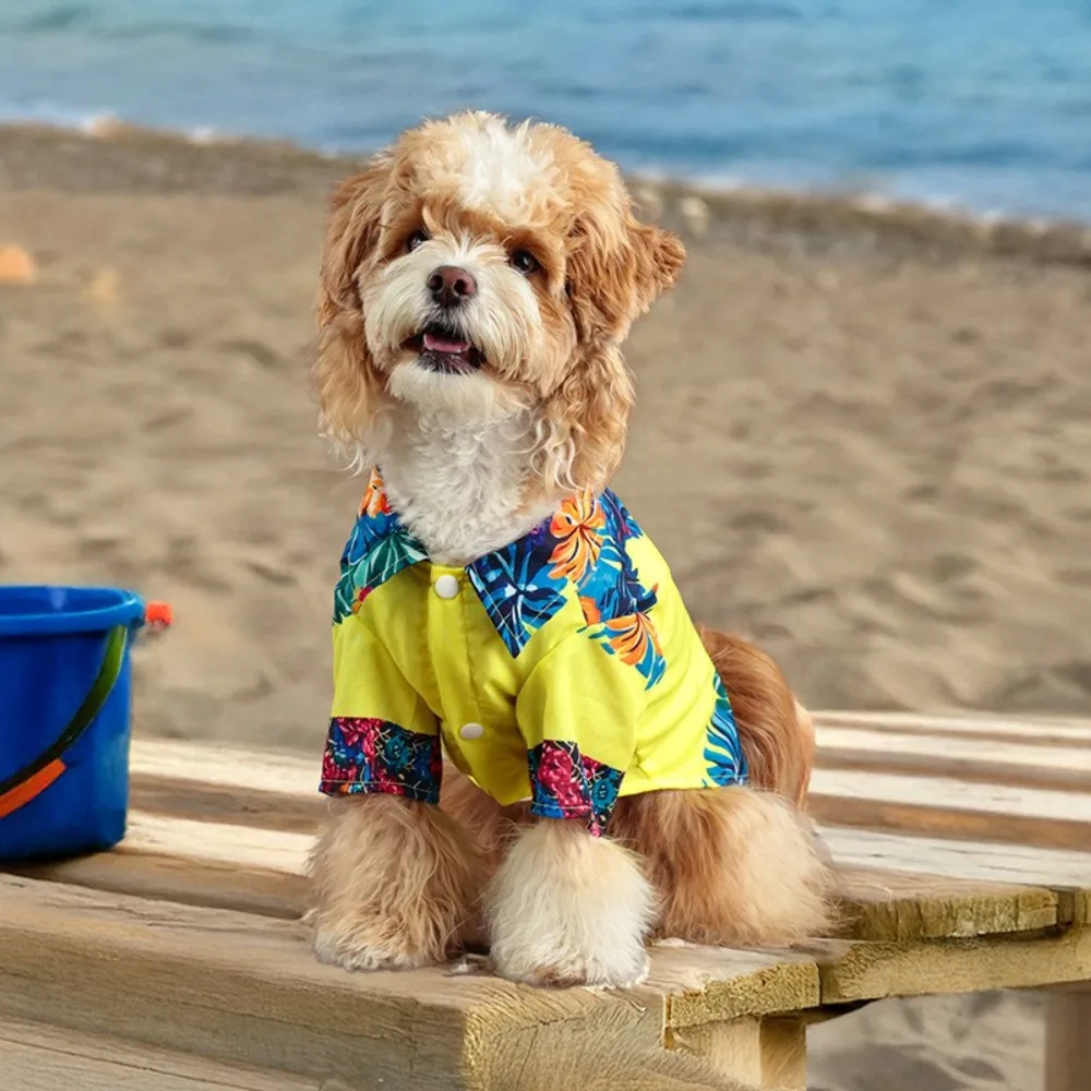 Creative Summer Thin Pet Short T-Shirt Breathable Comfortable Puppy Shirt Skirt Sun Protection Cool Dog Pullover Four Seasons
Creative Summer Thin Pet Short T-Shirt Breathable Comfortable Puppy Shirt Skirt Sun Protection Cool Dog Pullover Four Seasons