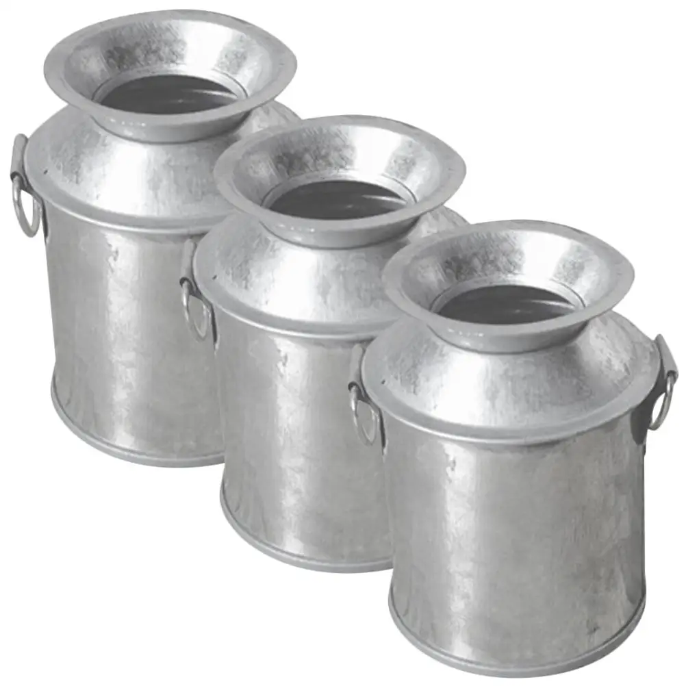 3 Pcs Mini Flower Pot Vases Small Metal Bucket Decoration 4x4 5xH6 Silver Mini Garden House Accessories
3 Pcs Mini Flower Pot Vases Small Metal Bucket Decoration 4x4 5xH6 Silver Mini Garden House Accessories