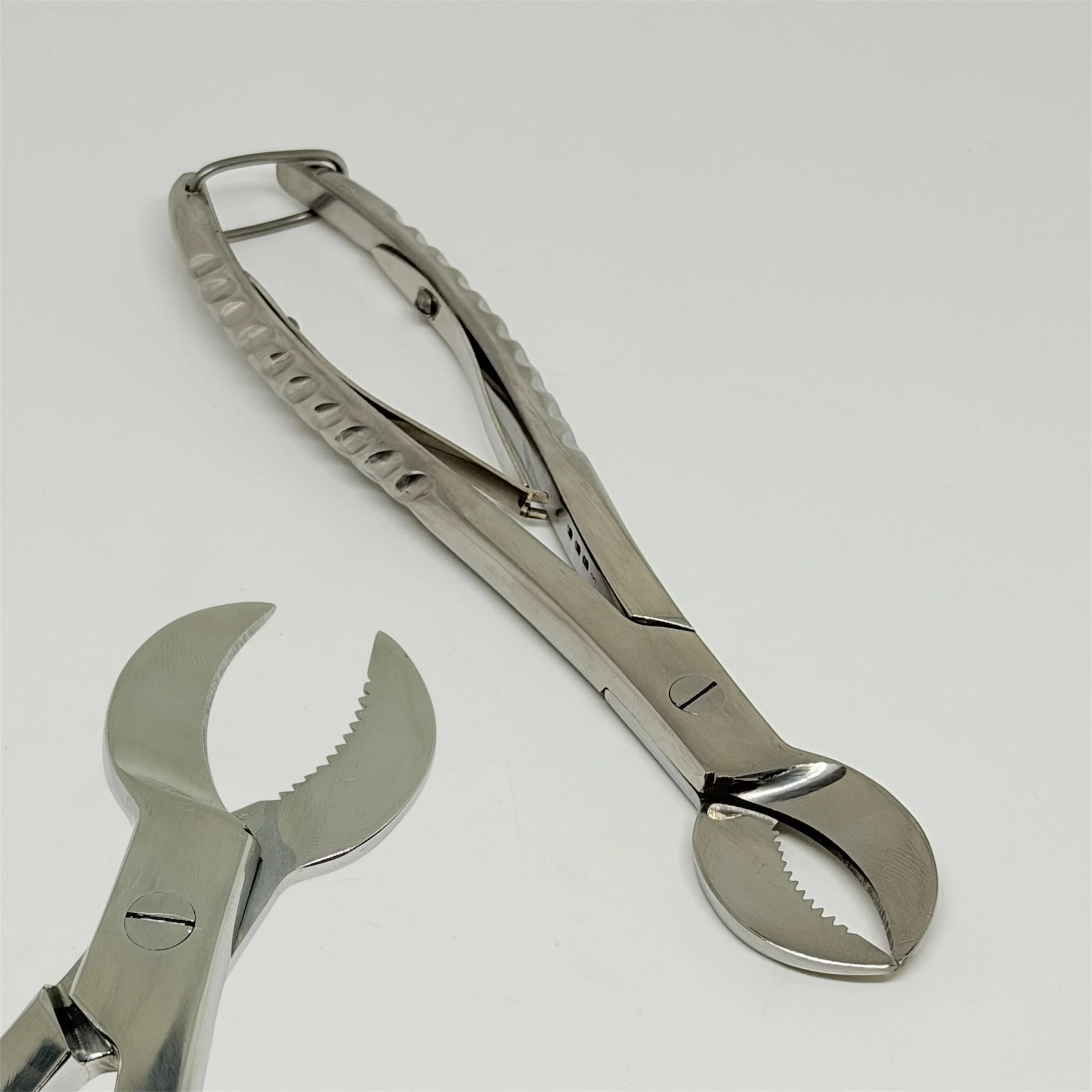 DNEILK 1pc Dental Plaster Nippers Or Plaster Sheared Stainless Steel Forceps Gypsum Plaster Pliers Dentistry Laboratory Instrum
DNEILK 1pc Dental Plaster Nippers Or Plaster Sheared Stainless Steel Forceps Gypsum Plaster Pliers Dentistry Laboratory Instrum