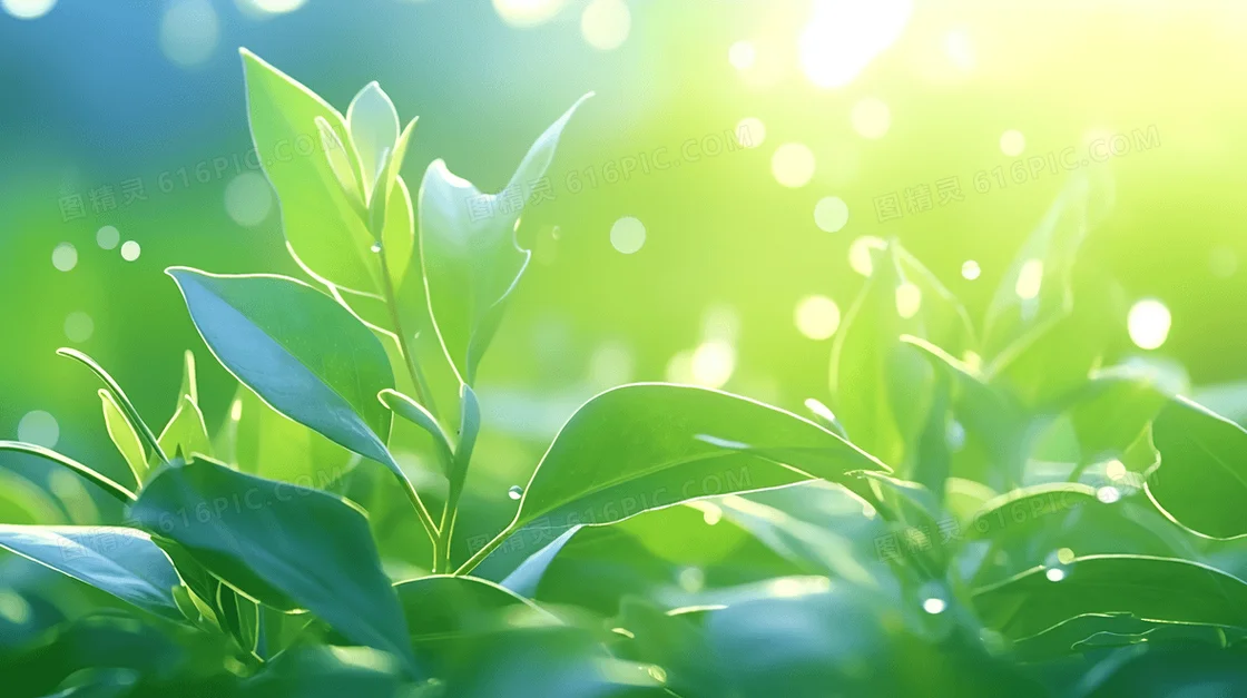 Universal 4PCS RC Tires for 1/7 ARRMA Infraction Limitless FELONY, Fits FSRC Model GT 1/8 HuanNao X3GT
Universal 4PCS RC Tires for 1/7 ARRMA Infraction Limitless FELONY, Fits FSRC Model GT 1/8 HuanNao X3GT