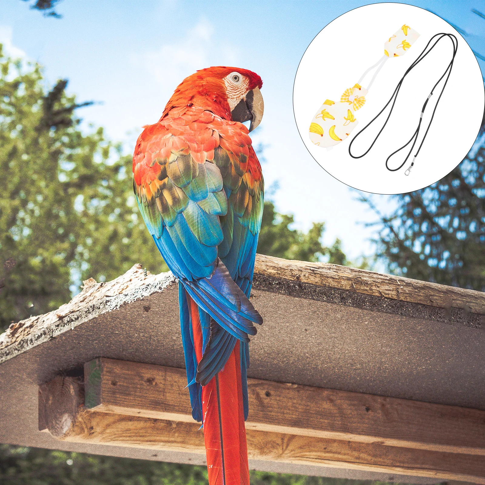 Creative Parrot Flight Suit For Birds Pet Bird Apparel With Leash High Quality Cotton Travel Hiking Pet Suit Bird
Creative Parrot Flight Suit For Birds Pet Bird Apparel With Leash High Quality Cotton Travel Hiking Pet Suit Bird