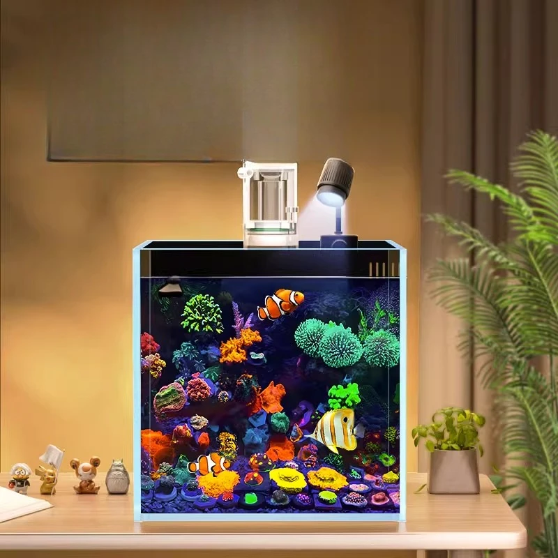 Back Filter Seawater Tank Full Set of Equipment, Living Room Small Desktop Coral Landscaping Square Tank Ultra-white Glass Clown
Back Filter Seawater Tank Full Set of Equipment, Living Room Small Desktop Coral Landscaping Square Tank Ultra-white Glass Clown