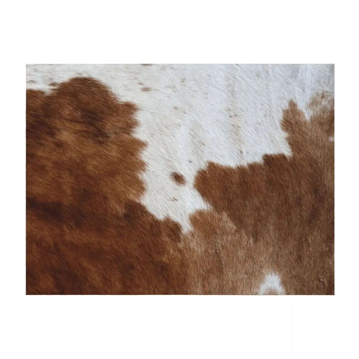 Cow Hide Brown & White Throw Blanket valentine gift ideas Plaid on the sofa Winter beds Blankets
Cow Hide Brown & White Throw Blanket valentine gift ideas Plaid on the sofa Winter beds Blankets