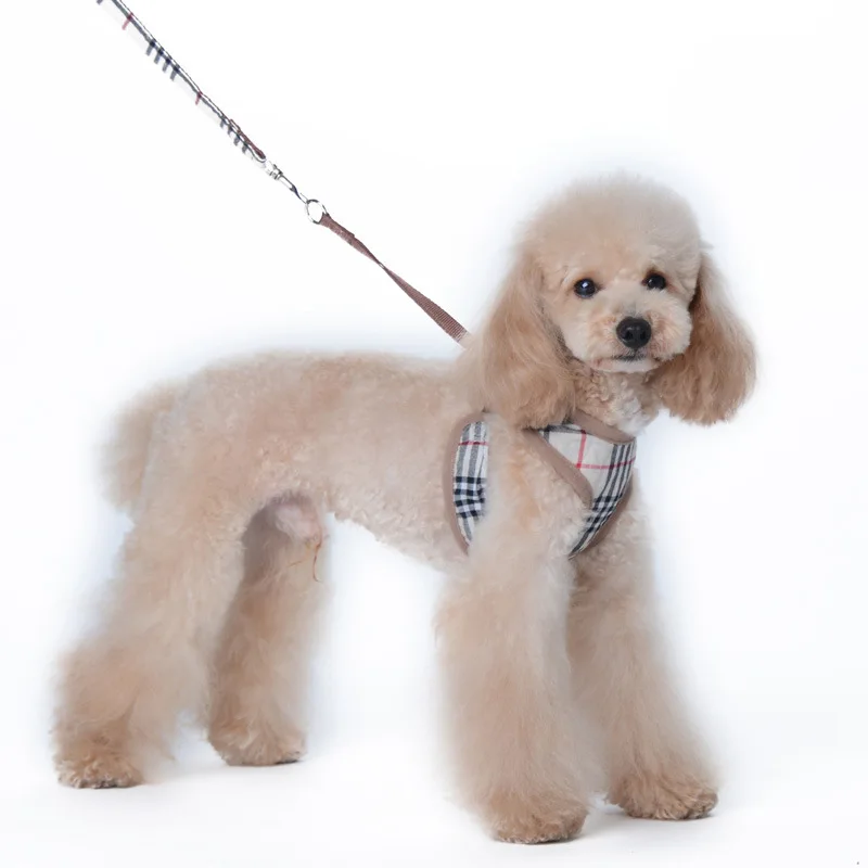 Trendy brand letter grid pet collar set, Teddy Schnauzer dog collar, leash, dog accessories wholesale
Trendy brand letter grid pet collar set, Teddy Schnauzer dog collar, leash, dog accessories wholesale