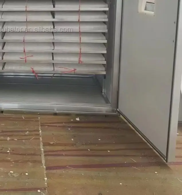 HZ5280 Fully Automatic Egg Incubator Excellent Quality For Hatching Chicken Ostrich Eggs New Agricultural Equipment Hot Sale
HZ5280 Fully Automatic Egg Incubator Excellent Quality For Hatching Chicken Ostrich Eggs New Agricultural Equipment Hot Sale