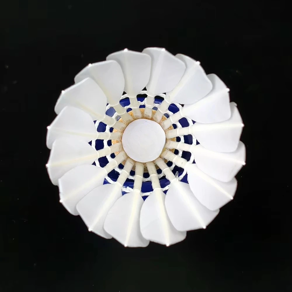 High Quality Goose Feather Badminton Ball Tournament Shuttlecock Shuttle 2-Layer Cork Factory Manufacturer
High Quality Goose Feather Badminton Ball Tournament Shuttlecock Shuttle 2-Layer Cork Factory Manufacturer