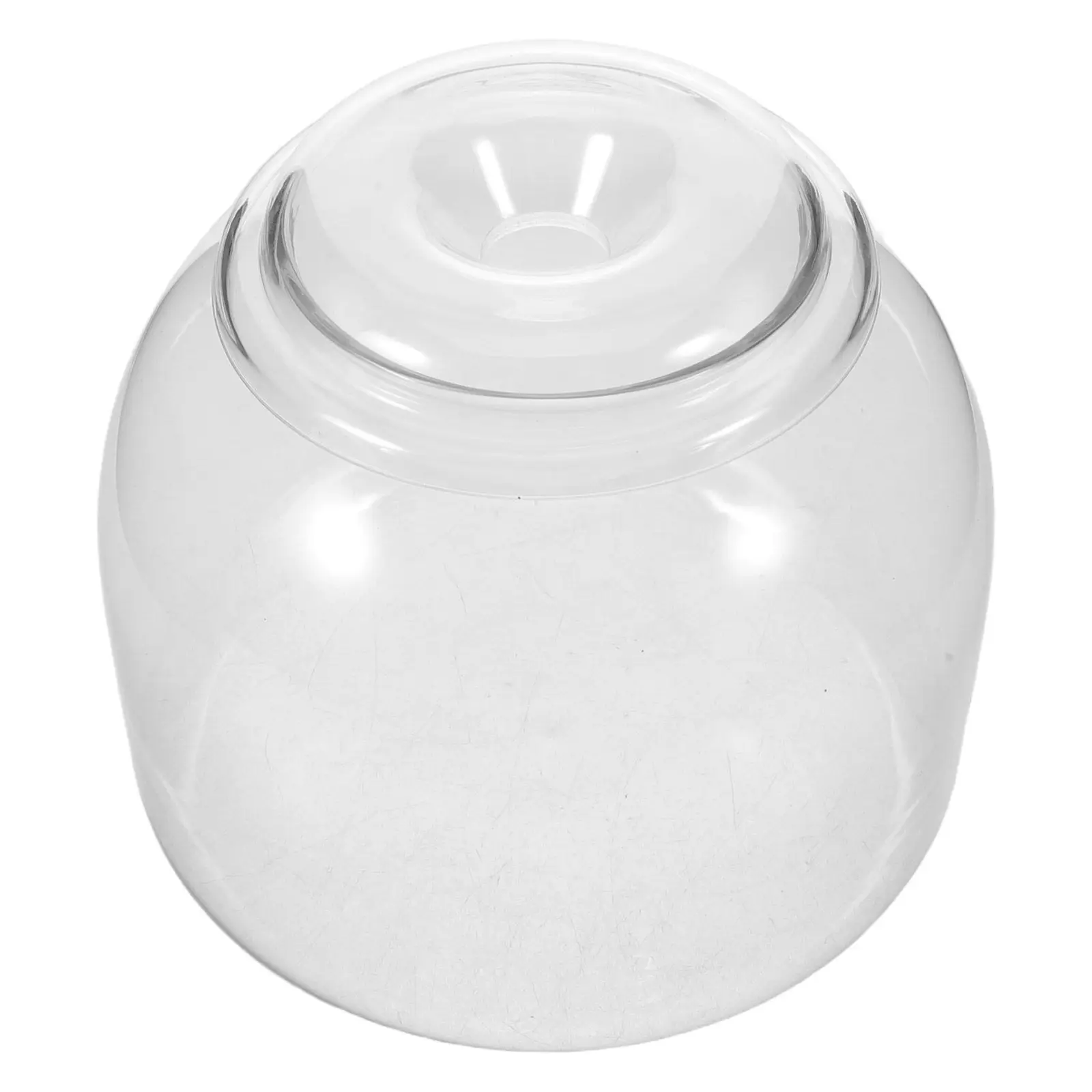 Glass Terrarium Jar with Lid Transparent Micro Landscape Ecological Bottle for Succulents Moss Hydroponic Plants Tabletop
Glass Terrarium Jar with Lid Transparent Micro Landscape Ecological Bottle for Succulents Moss Hydroponic Plants Tabletop