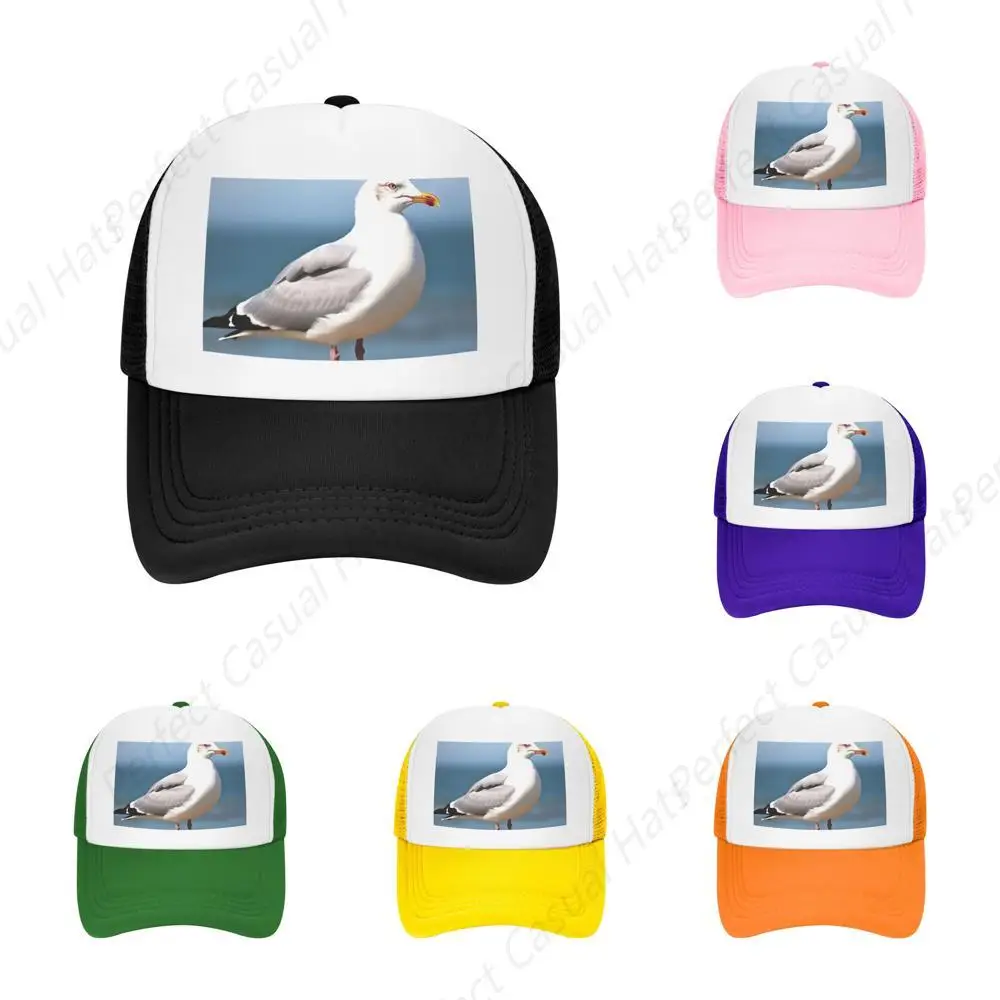High Quality Cute Seagulls Natural Print Gird Cap Sandwich Caps Peaked Caps Trucker Hat Men Women Outdoor Sport Sun Visor
High Quality Cute Seagulls Natural Print Gird Cap Sandwich Caps Peaked Caps Trucker Hat Men Women Outdoor Sport Sun Visor