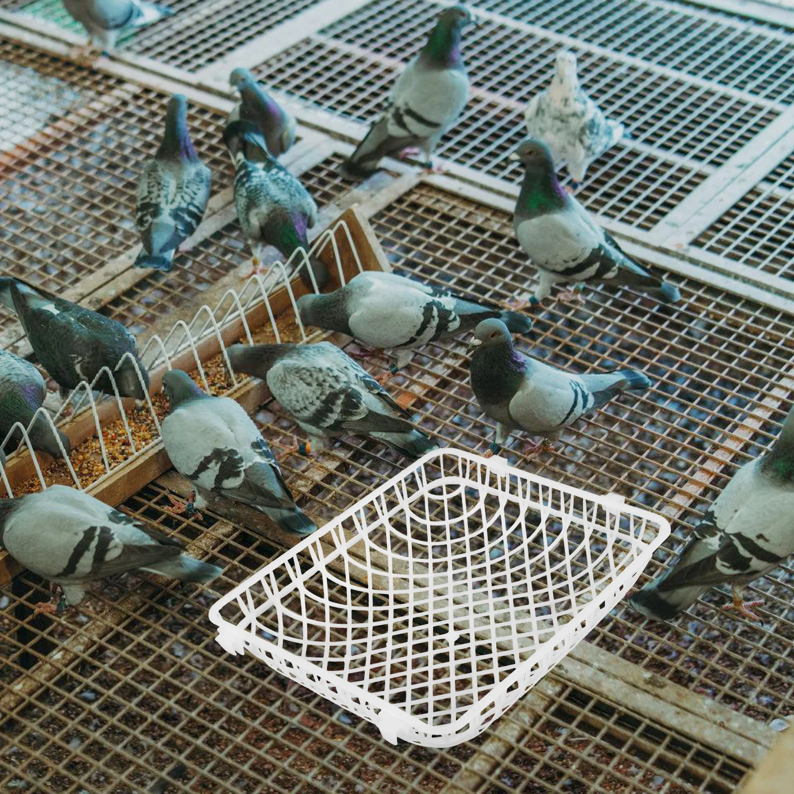 4pcs Pigeon Nest Bowls Sturdy Plastic Safe Durable 23X26 Old Rectangular Nests Breeding Hatching Basins Bird Cage Accessories
4pcs Pigeon Nest Bowls Sturdy Plastic Safe Durable 23X26 Old Rectangular Nests Breeding Hatching Basins Bird Cage Accessories