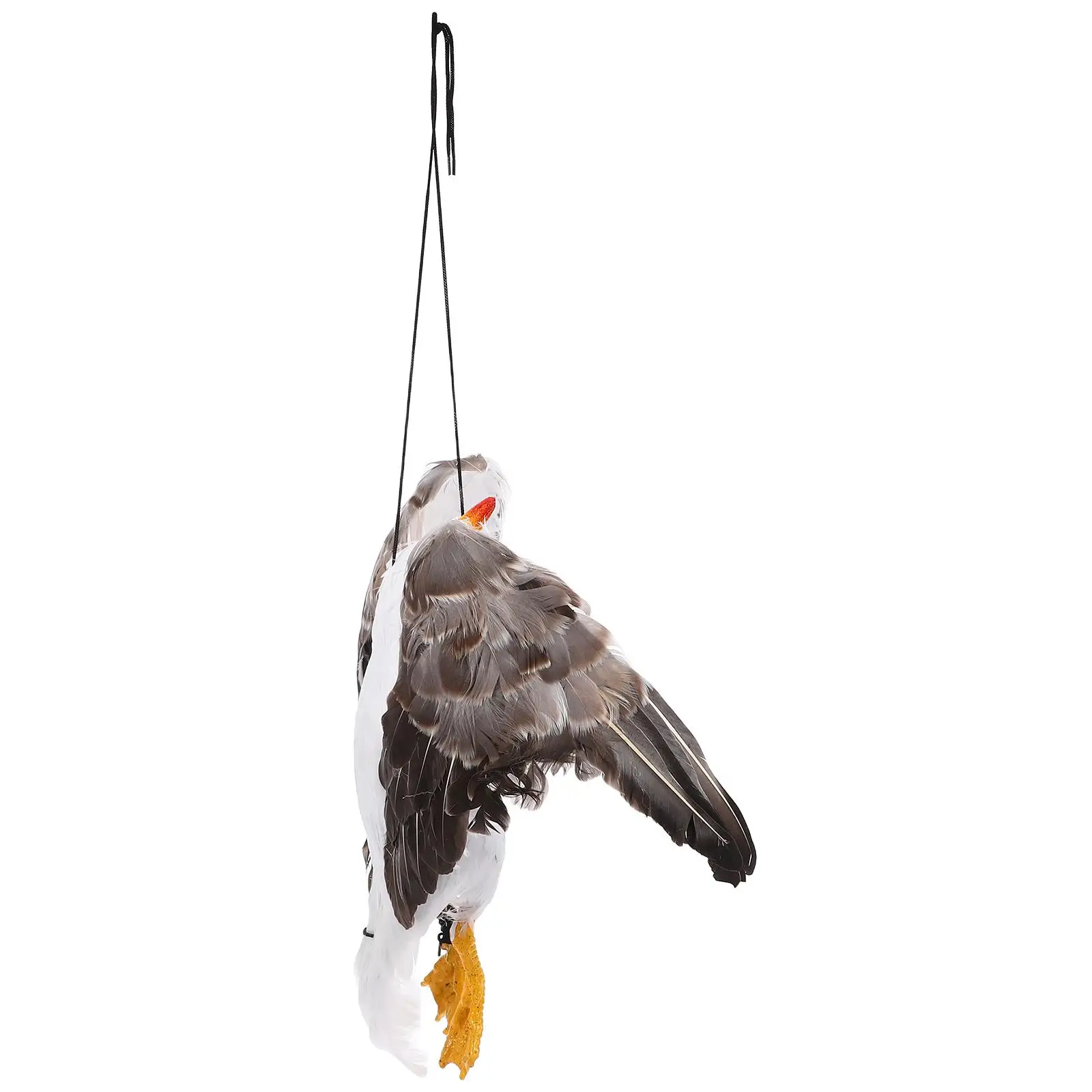 Simulated Dead Seagull Model 46x14cm Wingspan 50cm Durable Plastic Real Decorative Craft Statue Home Outdoor Ornament
Simulated Dead Seagull Model 46x14cm Wingspan 50cm Durable Plastic Real Decorative Craft Statue Home Outdoor Ornament