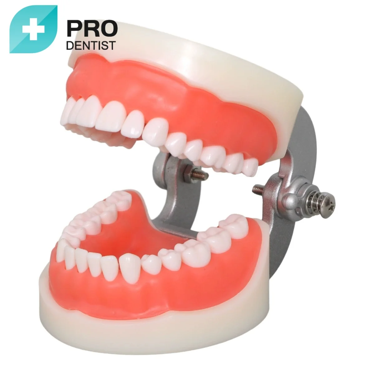 Medical Dental Care Tooth Model Teaching Dentist Demonstration Tooth Model Hot Sale
Medical Dental Care Tooth Model Teaching Dentist Demonstration Tooth Model Hot Sale
