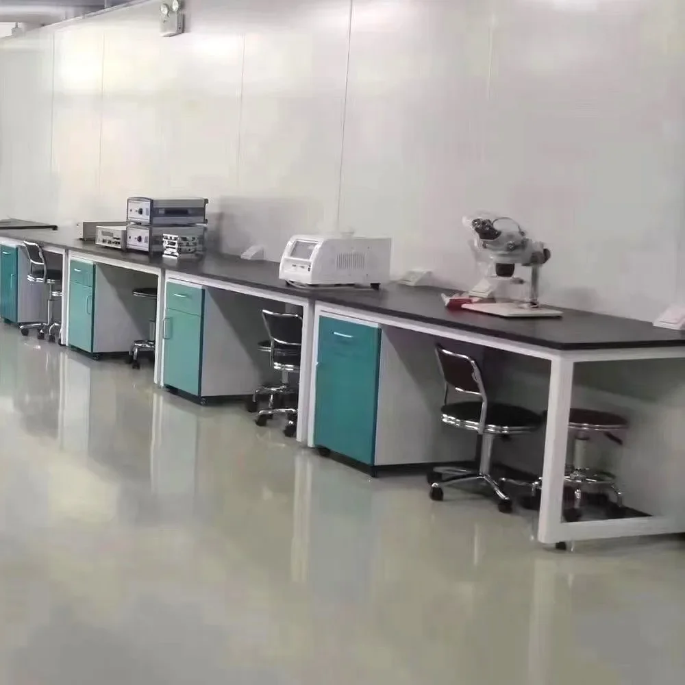 Customizable Lab Table Lab Side Bench Made Of Steel Frame, Reinforced Wall Desk Structures, Multi-functional Lab Work Tables
Customizable Lab Table Lab Side Bench Made Of Steel Frame, Reinforced Wall Desk Structures, Multi-functional Lab Work Tables