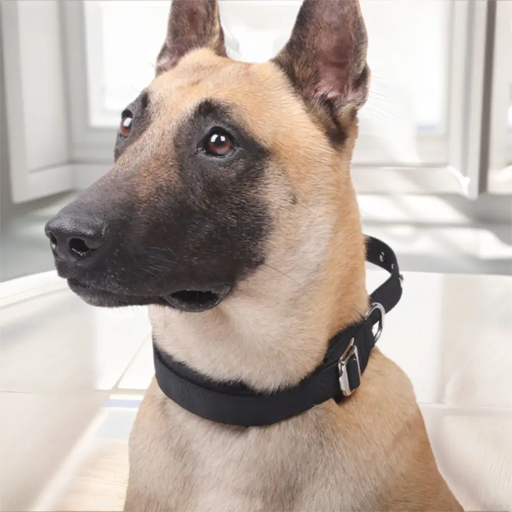 Practical Adjustable Dog Training Collar Breathable Heavy Duty Dog Neck Collar Metal Buckle Dog Rivet Collar Outdoor
Practical Adjustable Dog Training Collar Breathable Heavy Duty Dog Neck Collar Metal Buckle Dog Rivet Collar Outdoor