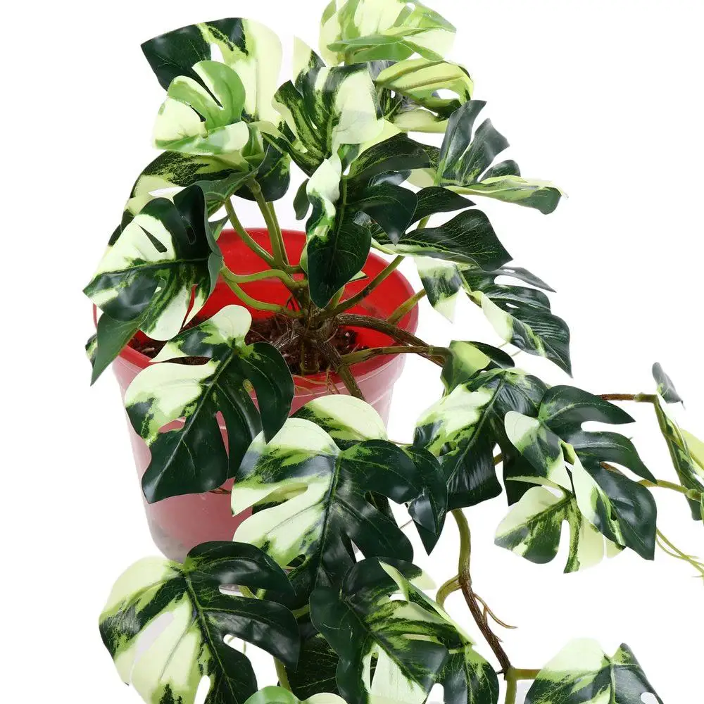 Hotel Creative Tree Bonsai Office For Home Living Room Party Decoration Fake Plant Green Plant Turtle Leaves Simulation Plants
Hotel Creative Tree Bonsai Office For Home Living Room Party Decoration Fake Plant Green Plant Turtle Leaves Simulation Plants