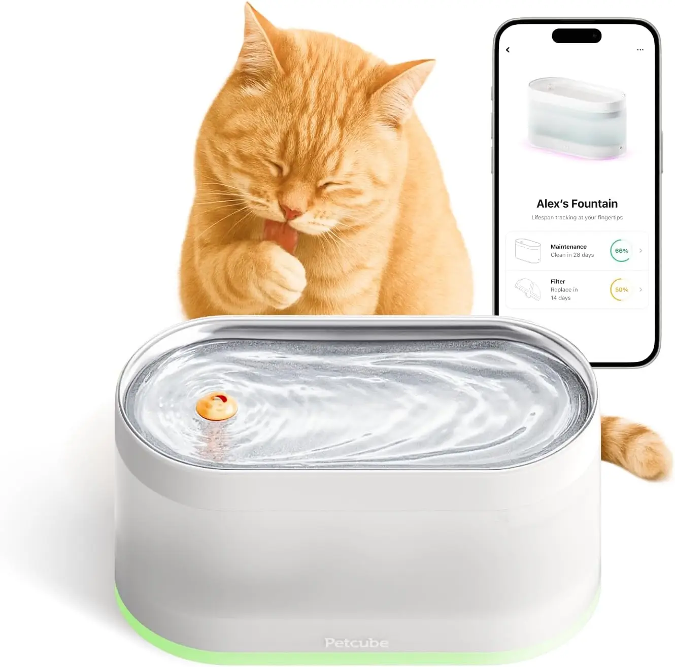 Indoor Use, Stainless Steel Pet Water Fountain with 4-Layer Filtration, In-App Control, LED Light, Quiet Pump, Battery Operated
Indoor Use, Stainless Steel Pet Water Fountain with 4-Layer Filtration, In-App Control, LED Light, Quiet Pump, Battery Operated