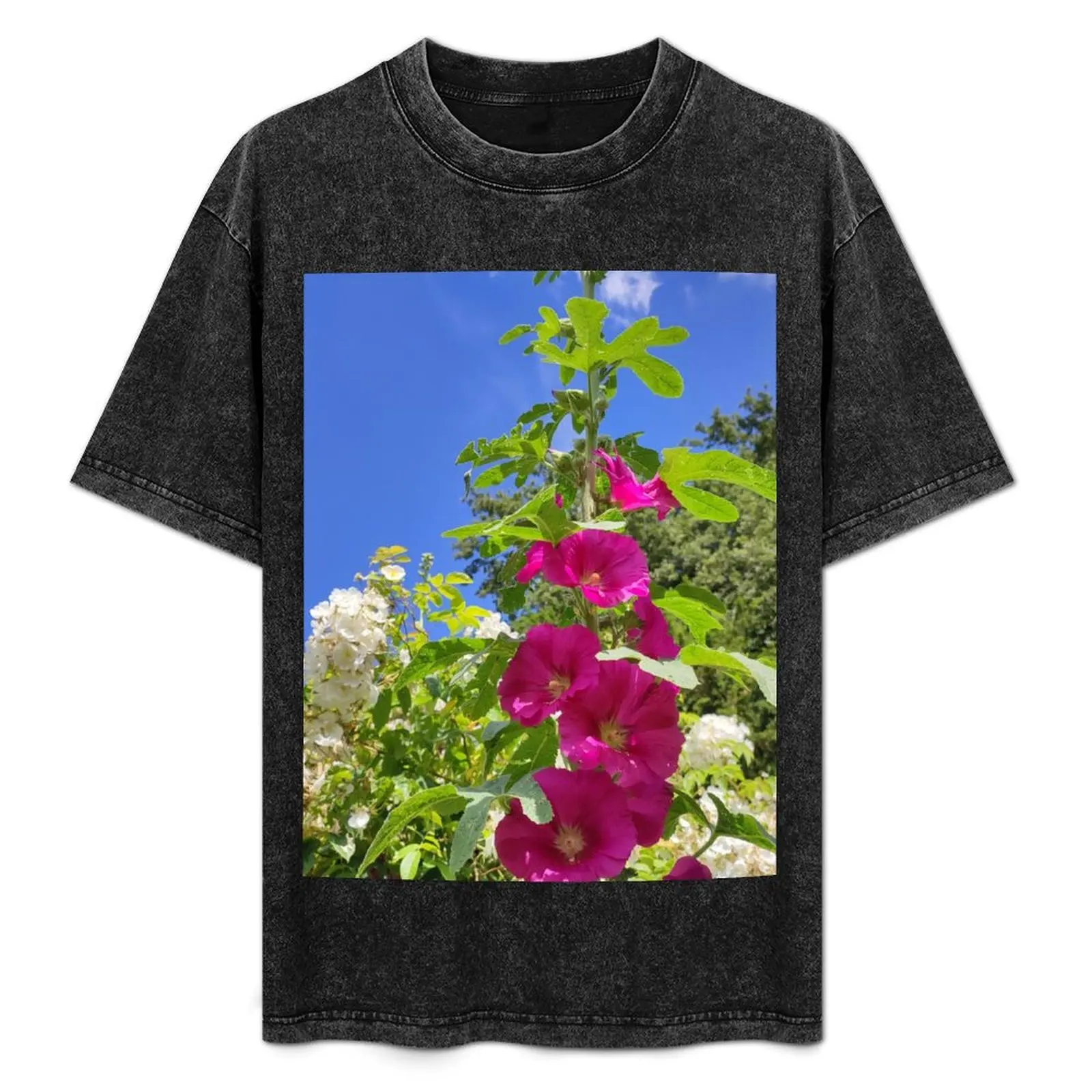 Hollyhocks, ex France now resettled in the UK T-Shirt Lightweight Print T-Shirt
Hollyhocks, ex France now resettled in the UK T-Shirt Lightweight Print T-Shirt