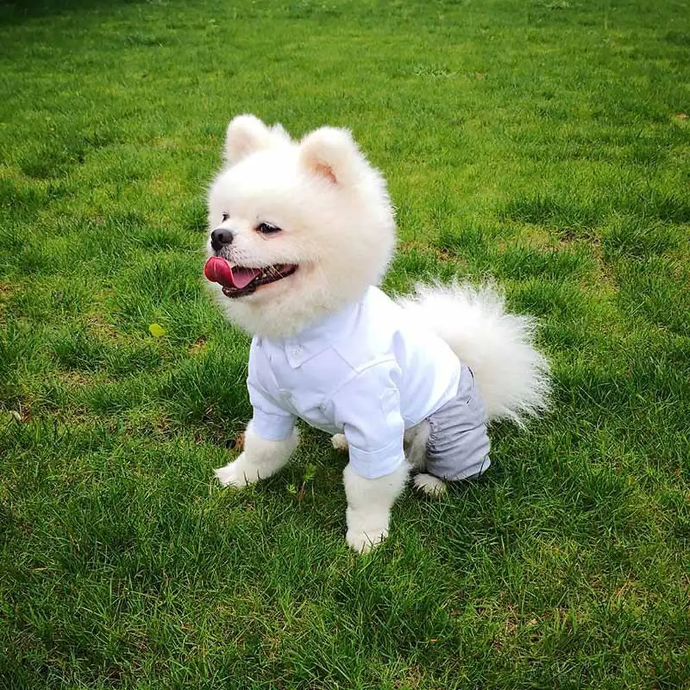 Dog Wedding Outfit Pet Wedding Party Jumpsuit Dog Prince Bow Tie 4-Legged Shirt Vest Costume For Christmas Birthday Halloween
Dog Wedding Outfit Pet Wedding Party Jumpsuit Dog Prince Bow Tie 4-Legged Shirt Vest Costume For Christmas Birthday Halloween