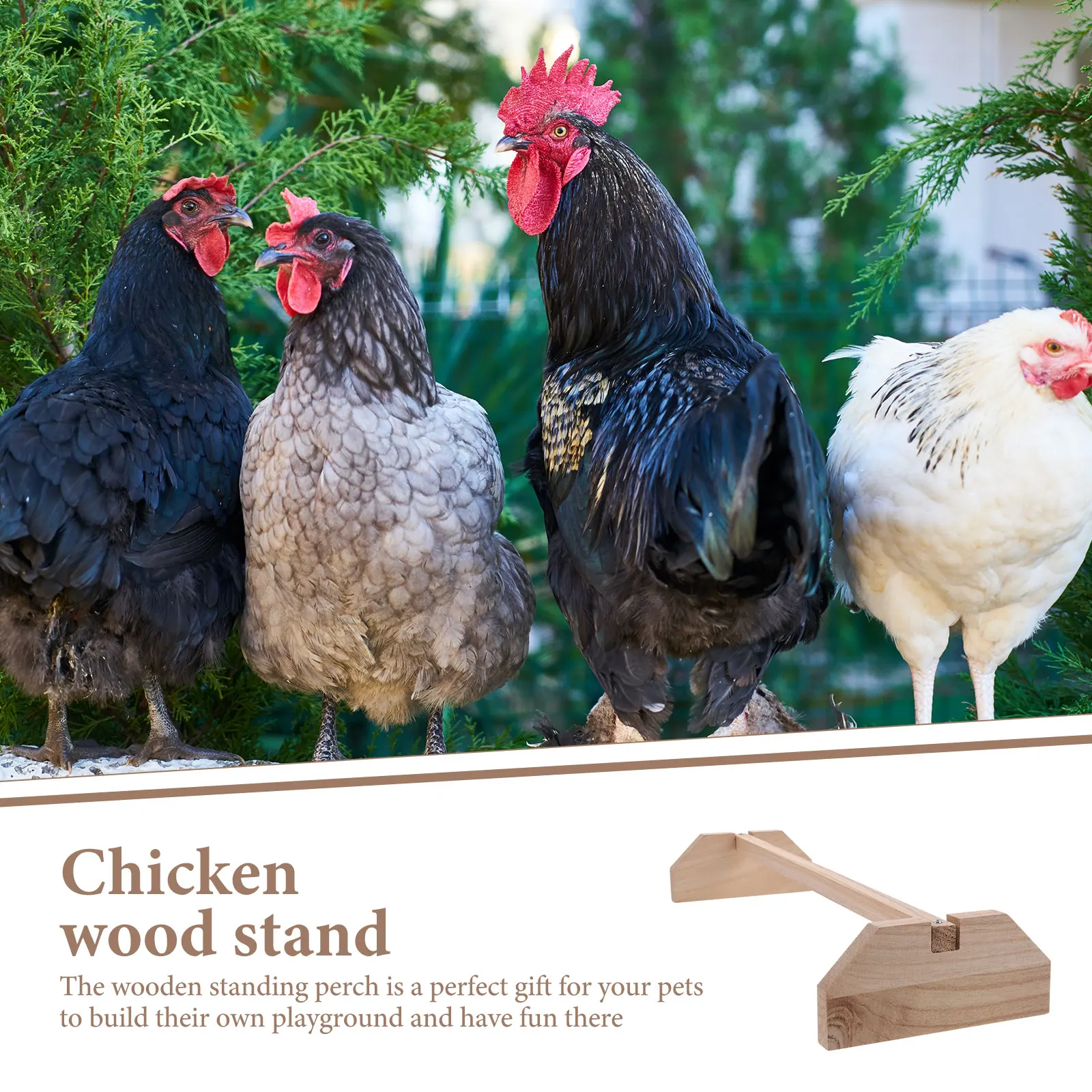 Chicken Perch Stand Large Rack Indoor Wooden for Chicks Hen Roosting Pet Supplies Bird Toy chick perch chicken wood
Chicken Perch Stand Large Rack Indoor Wooden for Chicks Hen Roosting Pet Supplies Bird Toy chick perch chicken wood