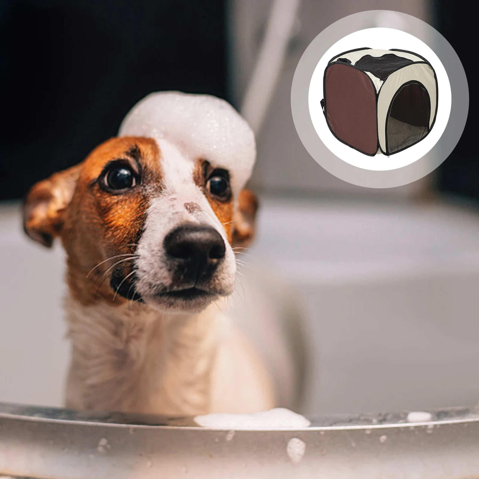 Pet Drying Box Tent 600d Oxford Cloth Large Foldable Cat Dog Bath Blower Hair Dryer Bag House Quick Drying Safe Comfortable
Pet Drying Box Tent 600d Oxford Cloth Large Foldable Cat Dog Bath Blower Hair Dryer Bag House Quick Drying Safe Comfortable