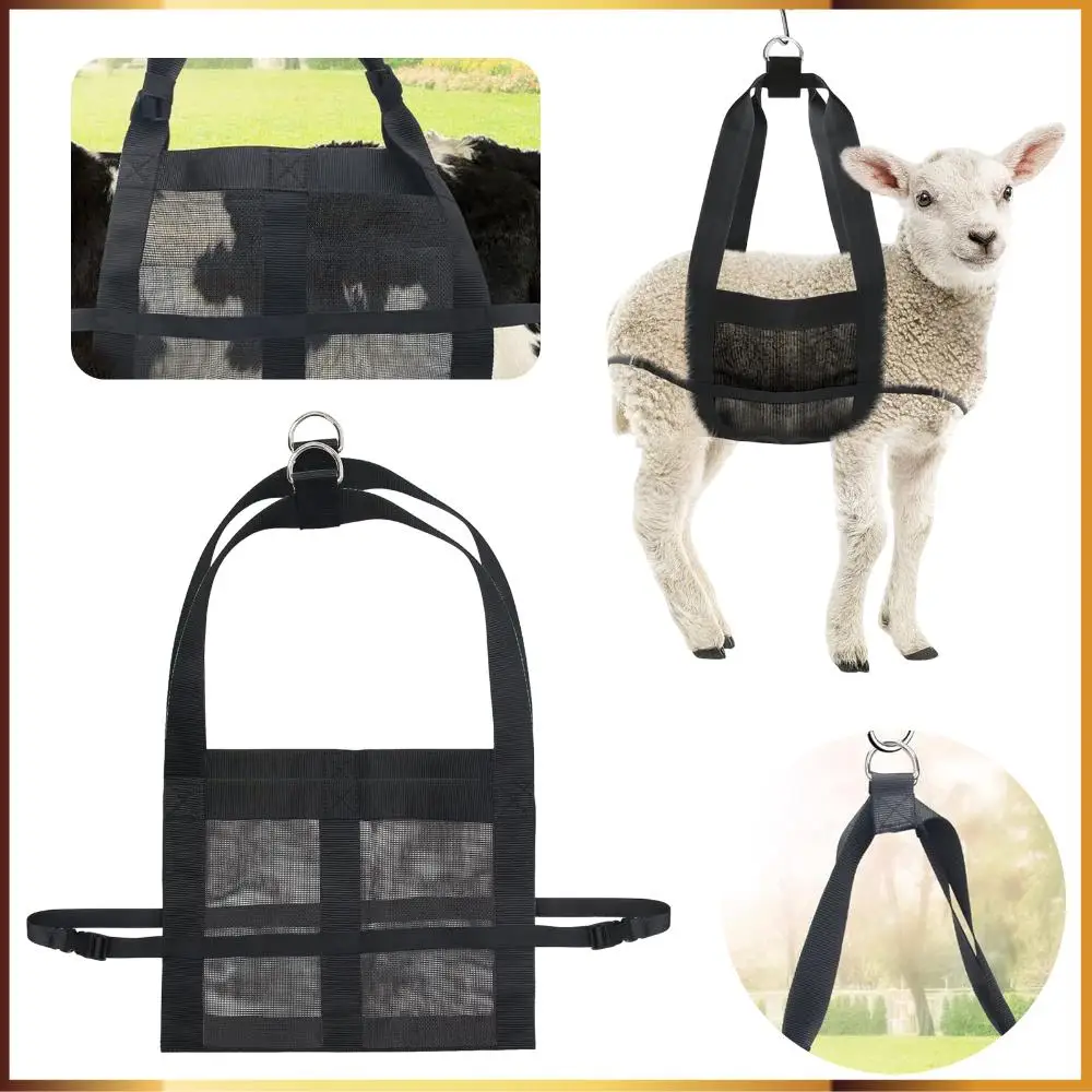 Calf Sling for Weighing Animals Livestock Sling with Adjustable Straps Reusable for Calves Lambs Goats Baby Alpacas
Calf Sling for Weighing Animals Livestock Sling with Adjustable Straps Reusable for Calves Lambs Goats Baby Alpacas