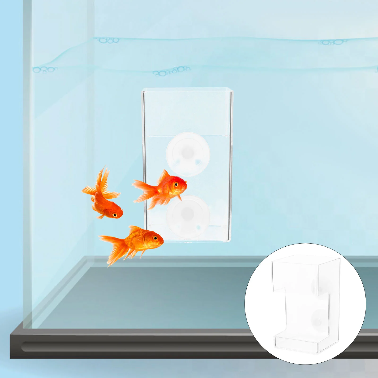 Aquarium Feeder Floating Clear Fish Ring Suction Cups Feeding Supplies Plastic Suckers
Aquarium Feeder Floating Clear Fish Ring Suction Cups Feeding Supplies Plastic Suckers