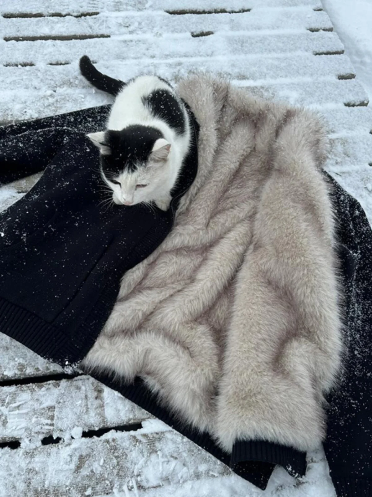 Утепленная хлопковая куртка-бомбер на флисовой подкладке для мужчин, осенне-зимняя, повседневная, свободного кроя, на молнии
Утепленная хлопковая куртка-бомбер на флисовой подкладке для мужчин, осенне-зимняя, повседневная, свободного кроя, на молнии