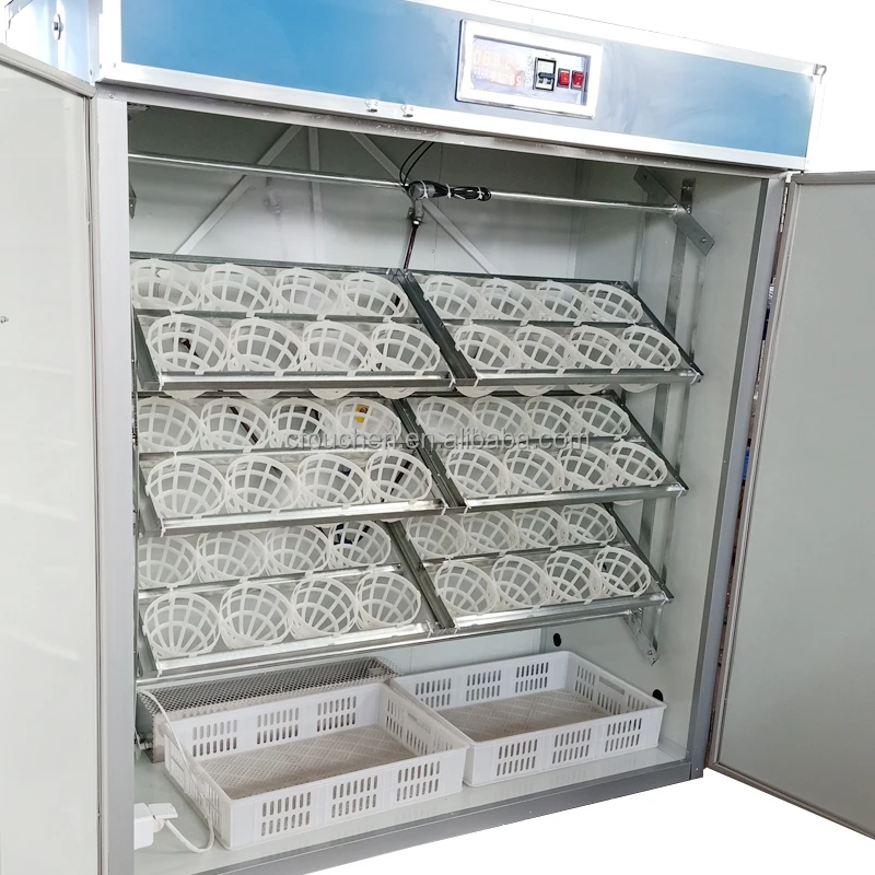 Best Quality 6 12 18 24 36 48 Automatic Ostrich Egg Incubator for Sale Incubator Ostrich
Best Quality 6 12 18 24 36 48 Automatic Ostrich Egg Incubator for Sale Incubator Ostrich