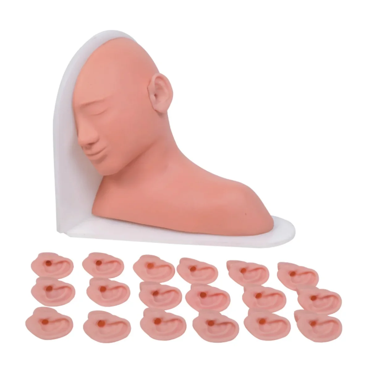 Head Ear Audiology Simulator Model Advanced Ear Inspection Simulator for Medical Science Medical Training
Head Ear Audiology Simulator Model Advanced Ear Inspection Simulator for Medical Science Medical Training