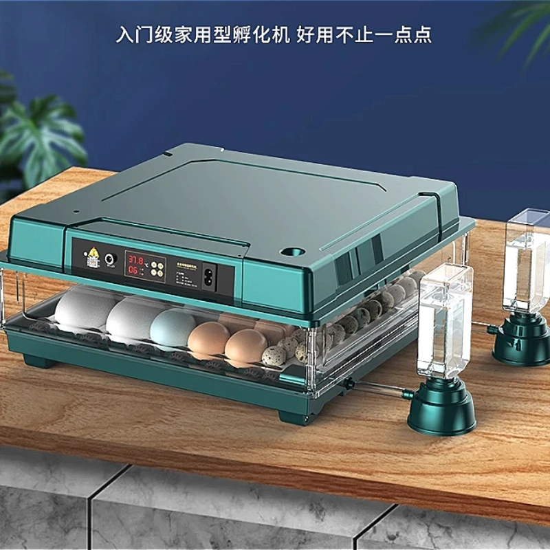 Small household egg incubator fully automatic intelligent incubator chicken, duck and goose egg incubator hatching machine
Small household egg incubator fully automatic intelligent incubator chicken, duck and goose egg incubator hatching machine