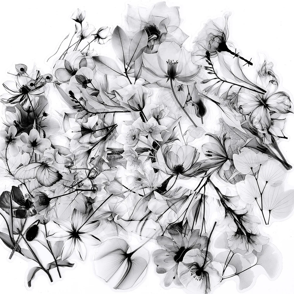 10/50PCS Black and White Transparent Flowers Graffiti Sticker Flowers Cartoon PET Decal Notebook Phone Guitar Fridge Kid Toys
10/50PCS Black and White Transparent Flowers Graffiti Sticker Flowers Cartoon PET Decal Notebook Phone Guitar Fridge Kid Toys