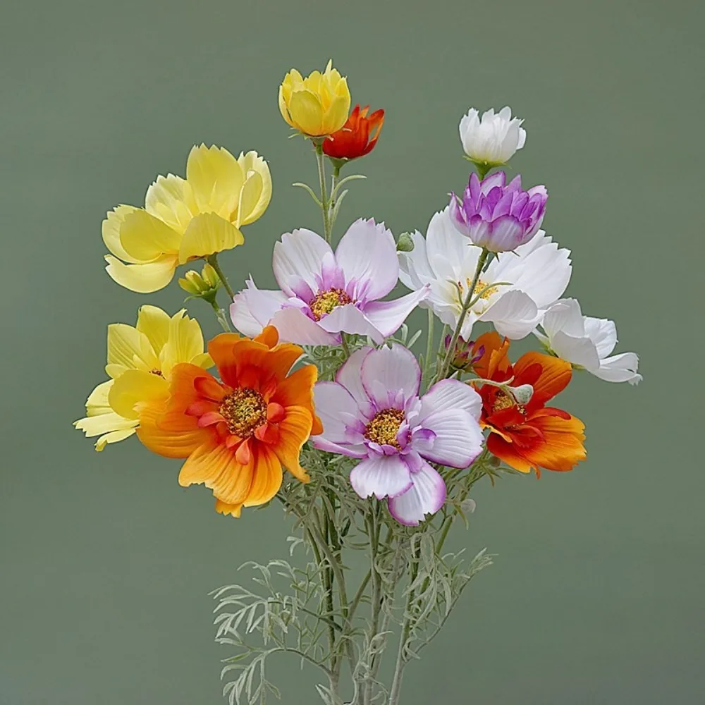 Luxury Artificial Cosmos Flower Branch Plastic Realistic Simulation Chrysanthemum Handmade Elegant Fake Flower
Luxury Artificial Cosmos Flower Branch Plastic Realistic Simulation Chrysanthemum Handmade Elegant Fake Flower