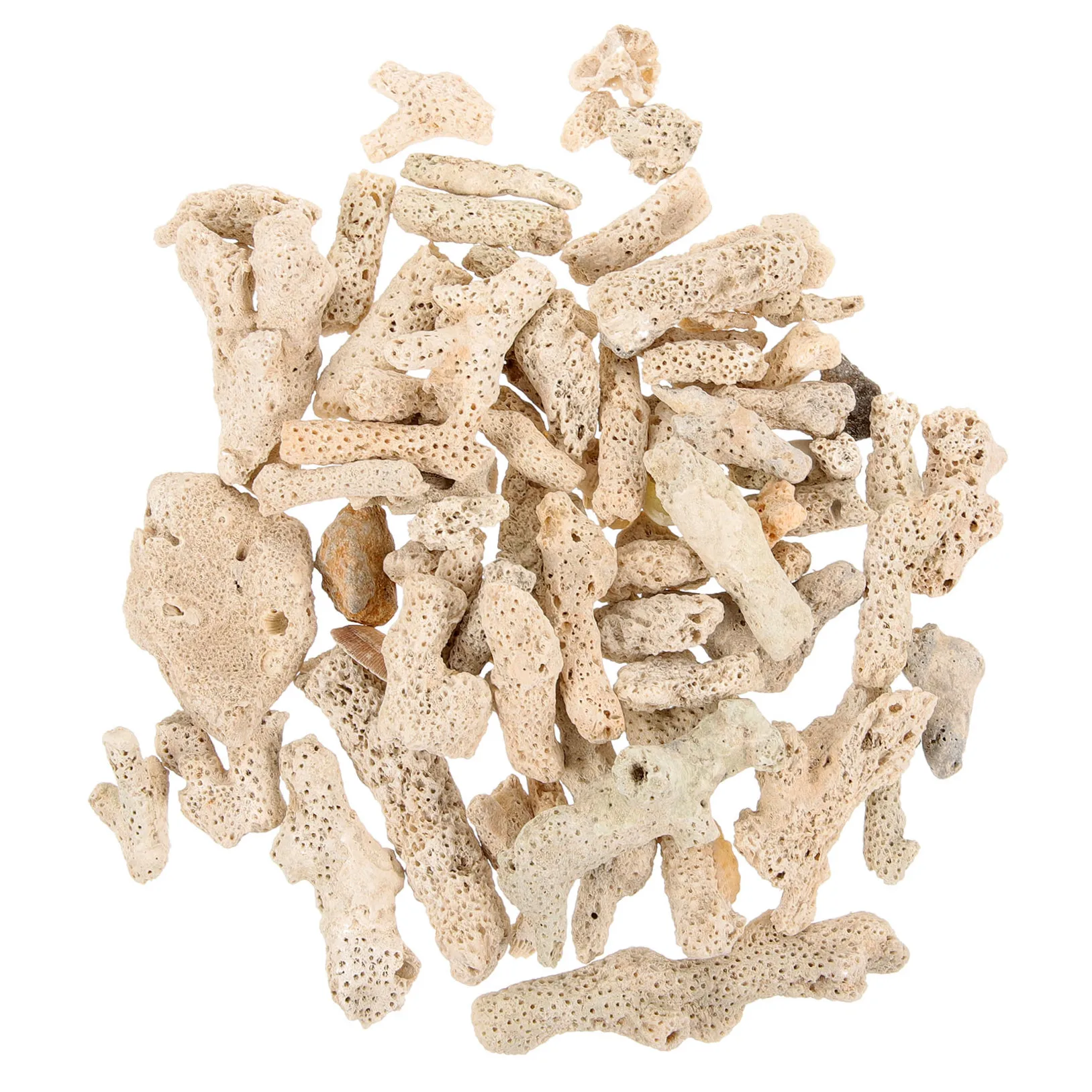 Coral Bone Sand Filter Pond Filtration Media Aquarium Translucent Crushed Corals Reusable
Coral Bone Sand Filter Pond Filtration Media Aquarium Translucent Crushed Corals Reusable
