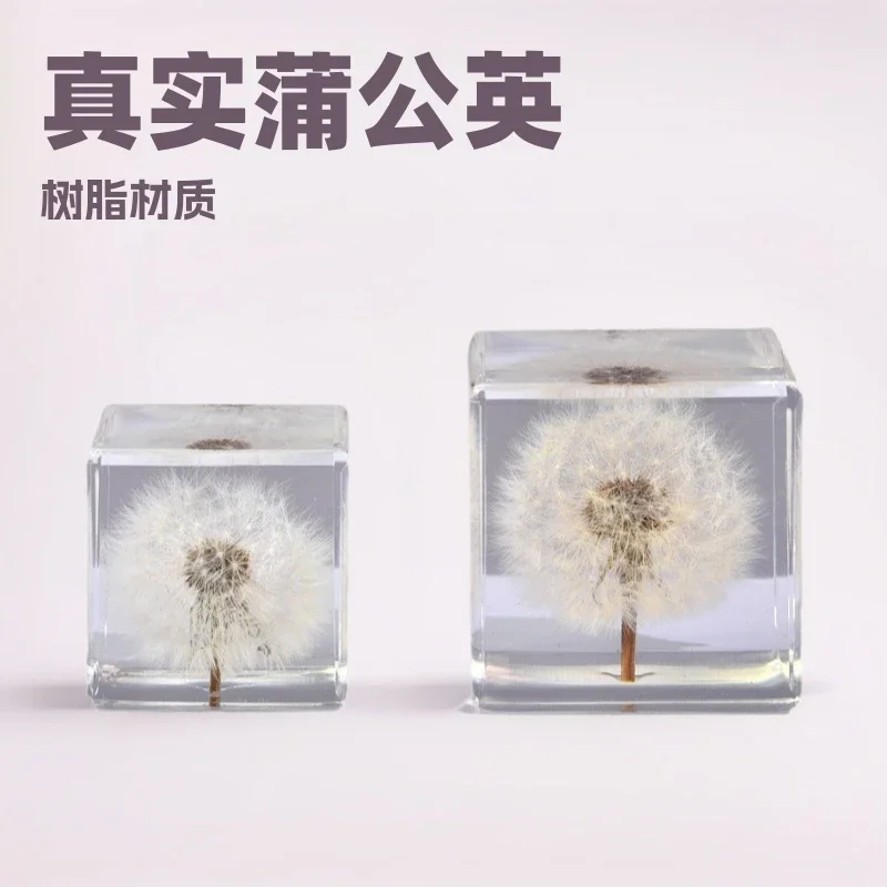 Real Dandelion Square Resin Crystal, Birthday Gifts, Creative Crafts, Botanical Amber, Tabletop Decorative Ornament
Real Dandelion Square Resin Crystal, Birthday Gifts, Creative Crafts, Botanical Amber, Tabletop Decorative Ornament