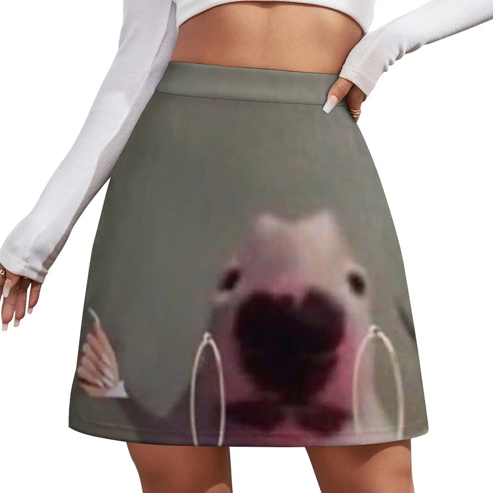 sksksksk Mini Skirt luxury designer clothing women women's clothing trend 2025 clothes for women Mini Skirt
sksksksk Mini Skirt luxury designer clothing women women's clothing trend 2025 clothes for women Mini Skirt