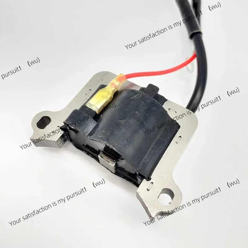 Катушка зажигания 40-5 44-5, подходит для 43CC 52CC CG430 CG520, 2-тактный триммер для травы, кусторез, газонокосилка, запасная часть двигателя
Катушка зажигания 40-5 44-5, подходит для 43CC 52CC CG430 CG520, 2-тактный триммер для травы, кусторез, газонокосилка, запасная часть двигателя