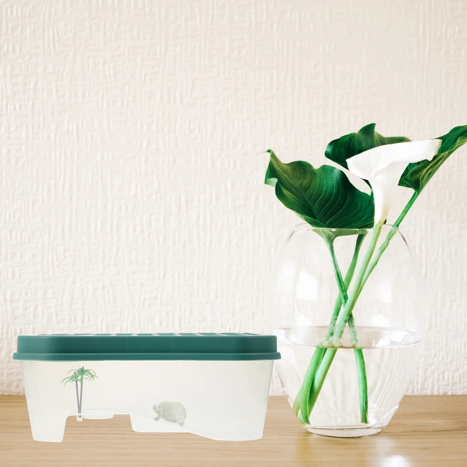 1Set Turtle Tank with Basking Platform Premium Plastic Reusable Container for Tortoise Breeding Exercise and Daily Food Storage
1Set Turtle Tank with Basking Platform Premium Plastic Reusable Container for Tortoise Breeding Exercise and Daily Food Storage