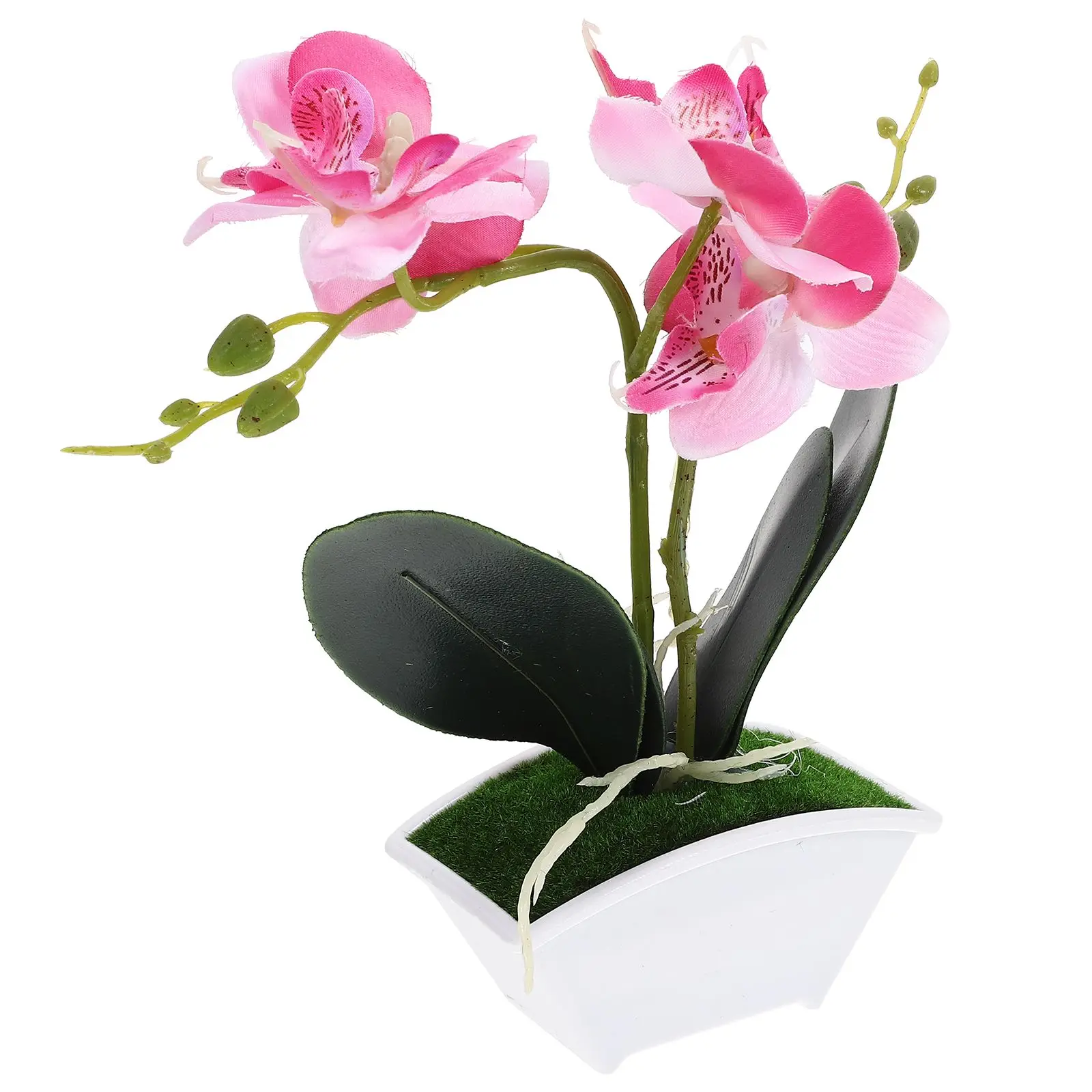 2 Pcs Mini Artificial Orchid Plants Red Fruits Simulation Decor Small Potted Plant Desk Shelf Home Office Photography Props
2 Pcs Mini Artificial Orchid Plants Red Fruits Simulation Decor Small Potted Plant Desk Shelf Home Office Photography Props