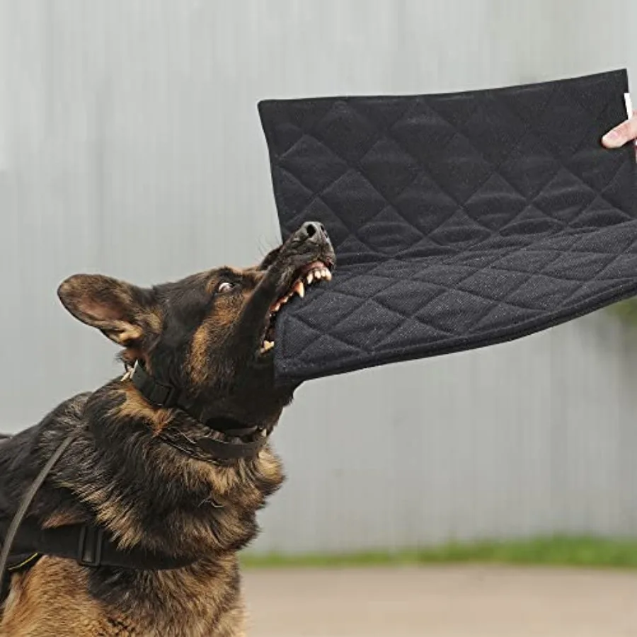 Indestructible Dog Bed - Chew Proof Crate Pad Machine Washable Quilted Mat for Aggressive Chewers Durable for Medium Dogs Kenne
Indestructible Dog Bed - Chew Proof Crate Pad Machine Washable Quilted Mat for Aggressive Chewers Durable for Medium Dogs Kenne