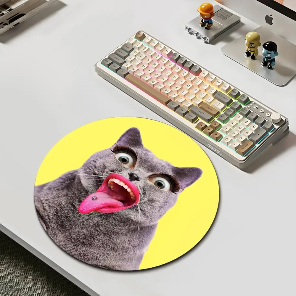 HYBXAXC Funny Cat Face Mouse Pad Round Non-Slip Rubber Desk Mat for Office Gaming Home Decor
HYBXAXC Funny Cat Face Mouse Pad Round Non-Slip Rubber Desk Mat for Office Gaming Home Decor