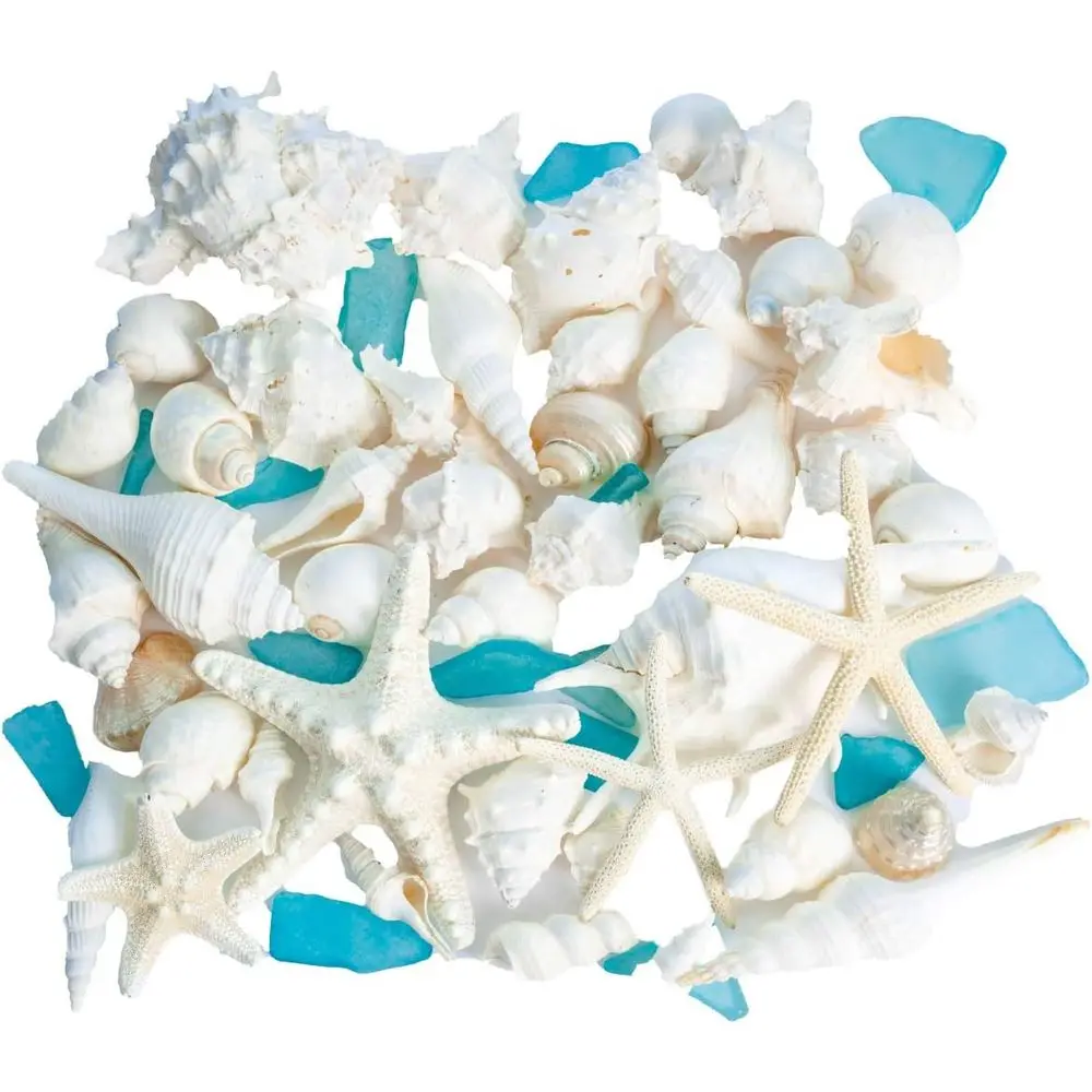Natural 2lb Beach Seashells Mix with Starfish & Sea Glass - Ideal for Ocean Decor, Home Accents, DIY Projects, Beach Weddings &
Natural 2lb Beach Seashells Mix with Starfish & Sea Glass - Ideal for Ocean Decor, Home Accents, DIY Projects, Beach Weddings &