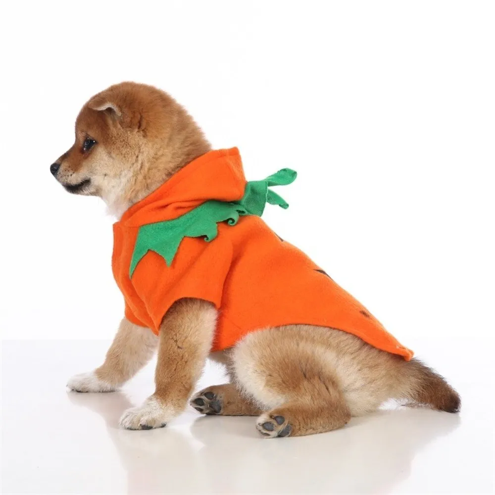 Party Costume Warm Fleece Pumpkin Dog Costume Breathable Orange Halloween Dog Clothes Comfortable Fit Dog Hoodie Autumn Season
Party Costume Warm Fleece Pumpkin Dog Costume Breathable Orange Halloween Dog Clothes Comfortable Fit Dog Hoodie Autumn Season