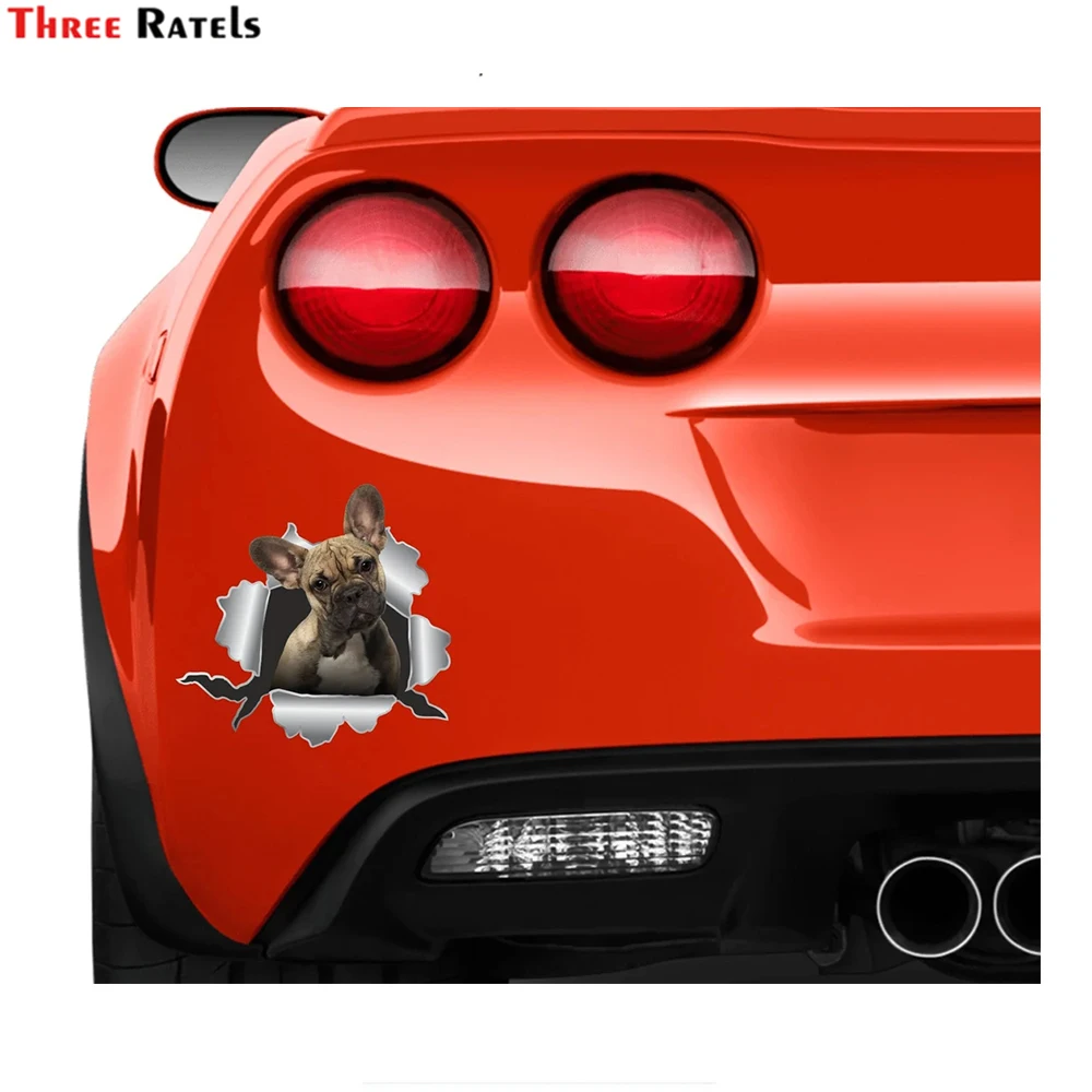Three Ratels I679 Frenchie Car Bulldog Vinyl Cute Dog Lover Gift Sticker For Audi A3 Chevrolet Cruze
Three Ratels I679 Frenchie Car Bulldog Vinyl Cute Dog Lover Gift Sticker For Audi A3 Chevrolet Cruze