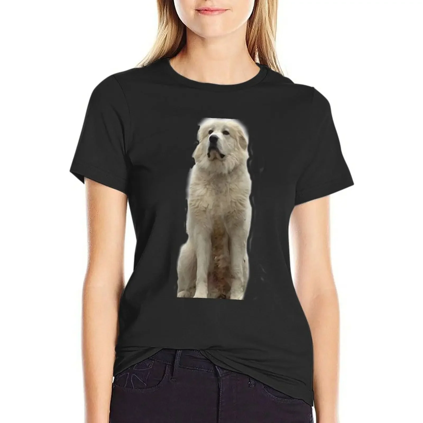 The Great Pyrenees mountain dog T-Shirt customs design your own graphics shirts graphic tees t shirt dress Women
The Great Pyrenees mountain dog T-Shirt customs design your own graphics shirts graphic tees t shirt dress Women