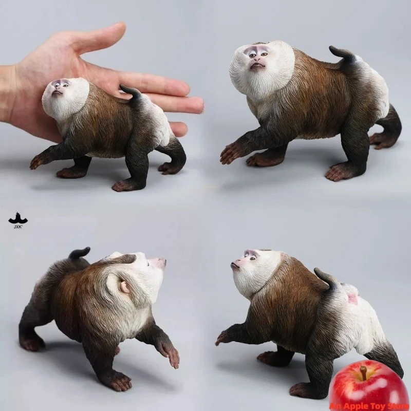 JXK JXK250 1/6 Scale Simulated Animal Internet Celebrity Dolphin Tailed Monkey Ornament Toy For 12 inch Action Figure Toys Gifts
JXK JXK250 1/6 Scale Simulated Animal Internet Celebrity Dolphin Tailed Monkey Ornament Toy For 12 inch Action Figure Toys Gifts