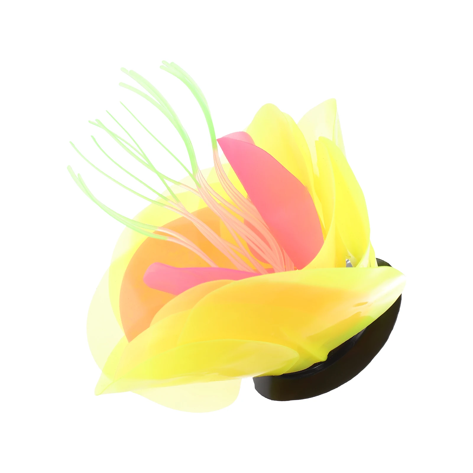 Silicone Coral Tank Aquarium Decorations L scape Aquarium Decorations Artificial Water Grass Pet Supplies
Silicone Coral Tank Aquarium Decorations L scape Aquarium Decorations Artificial Water Grass Pet Supplies