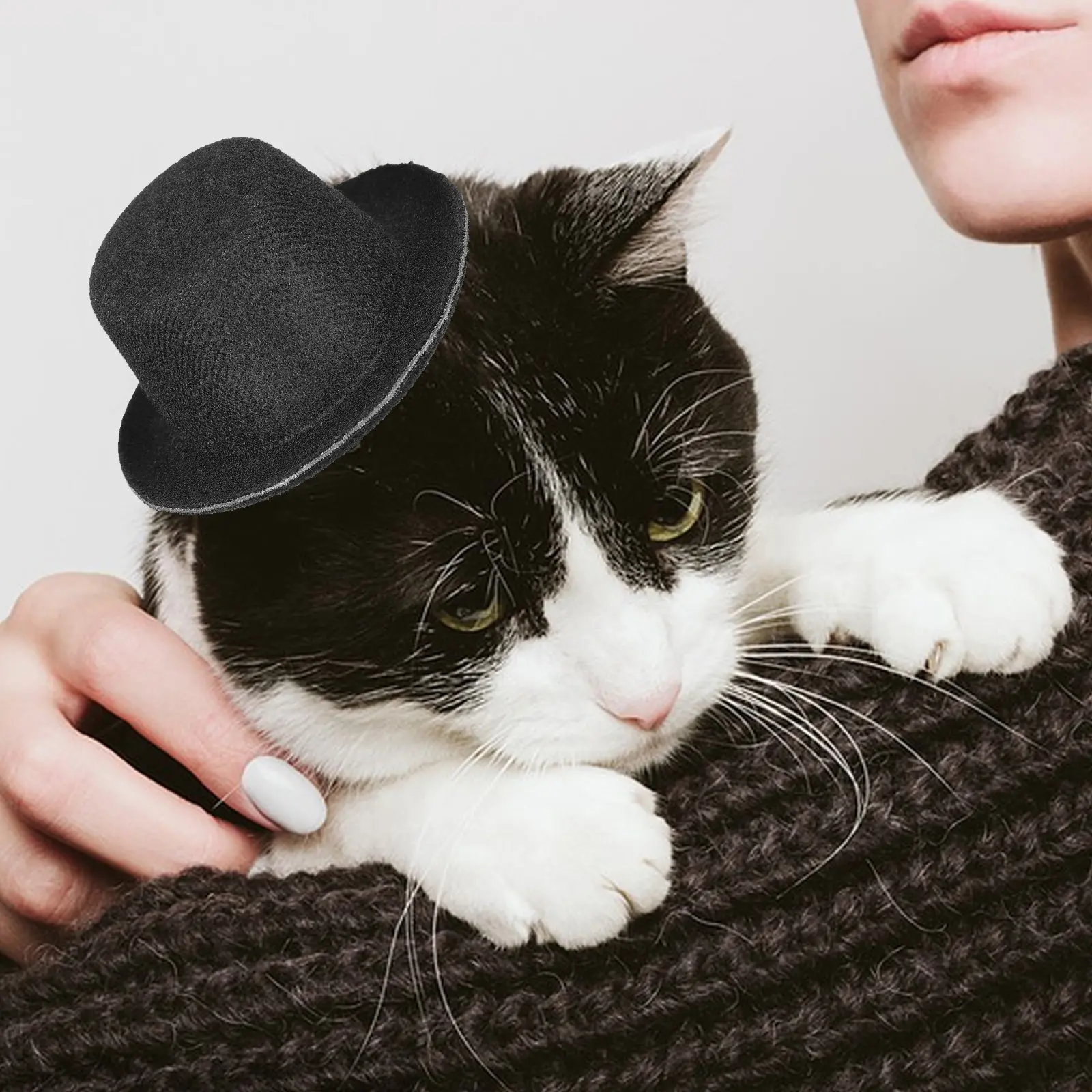 6Pcs Tiny Cowboy Hat for Cats Dogs Hat Photo Prop Festival Decoration Small Pet Accessory Birthday Dress Up
6Pcs Tiny Cowboy Hat for Cats Dogs Hat Photo Prop Festival Decoration Small Pet Accessory Birthday Dress Up