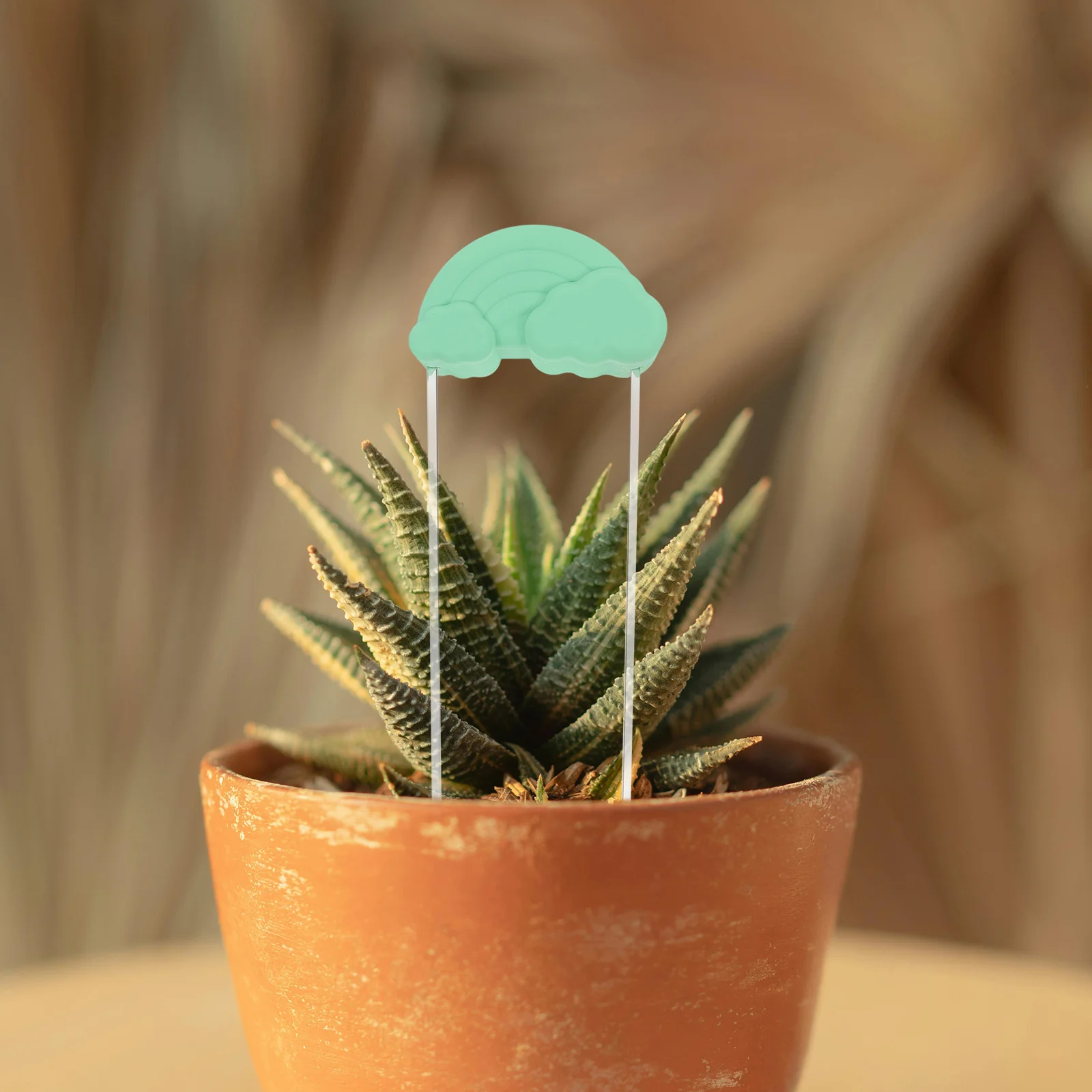 Rainbow Silicone Watering Tool Bonsai Self Watering Spike Flowerpot Durable Garden Irrigation Tool For Succulents Small Potted 
Rainbow Silicone Watering Tool Bonsai Self Watering Spike Flowerpot Durable Garden Irrigation Tool For Succulents Small Potted