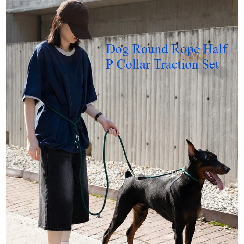 Semi-P Round Rope Dog Collar + Leash Set Anti-Burst No Choke Adjustable Limit Buckle for Large Dogs 50kg
Semi-P Round Rope Dog Collar + Leash Set Anti-Burst No Choke Adjustable Limit Buckle for Large Dogs 50kg