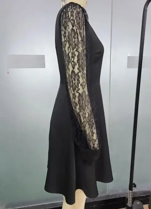 Elegant Women's Lace Long Sleeve Dress Temperament Commuting Spring Summer New Fashion Black A-Line Dresses for Women's Clothing
Elegant Women's Lace Long Sleeve Dress Temperament Commuting Spring Summer New Fashion Black A-Line Dresses for Women's Clothing