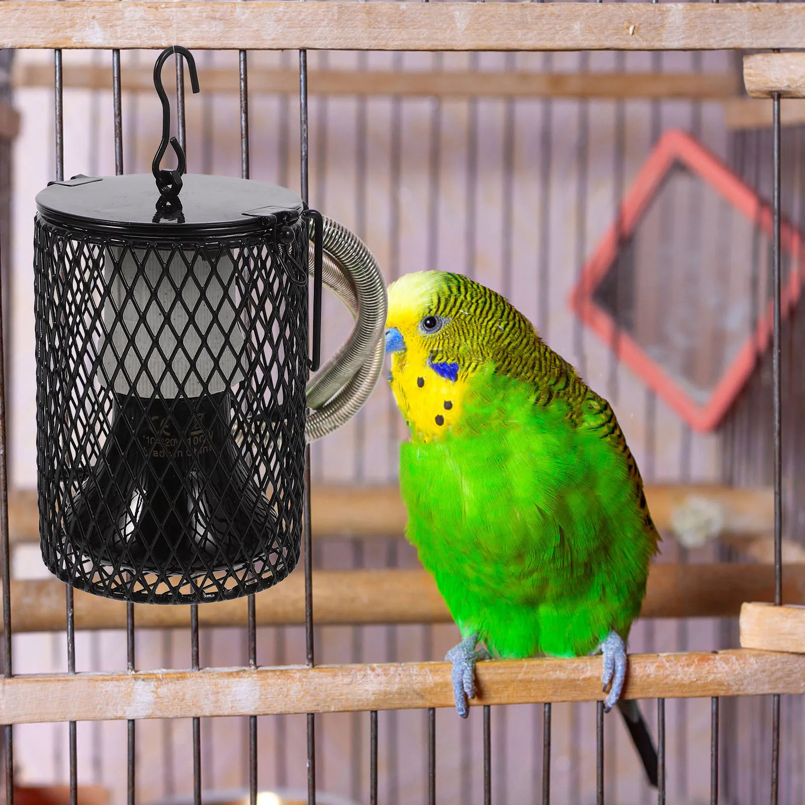 Ceramic Lampshade Reptile Habitat Warmer Preservation Rack Strong Preservation Lamp Rack Heat Dissipation Durable Lamp Basket
Ceramic Lampshade Reptile Habitat Warmer Preservation Rack Strong Preservation Lamp Rack Heat Dissipation Durable Lamp Basket